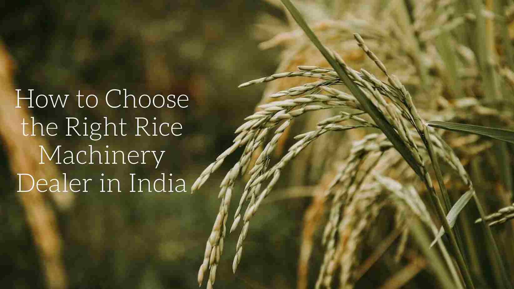 Choosing the Right Rice Machinery Dealer in India: A Comprehensive Guide