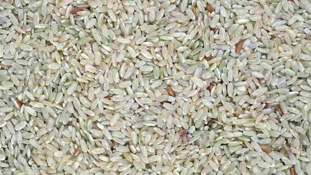 The Advantages of Modern Rice Mill Fabrication for the Agriculture Industry