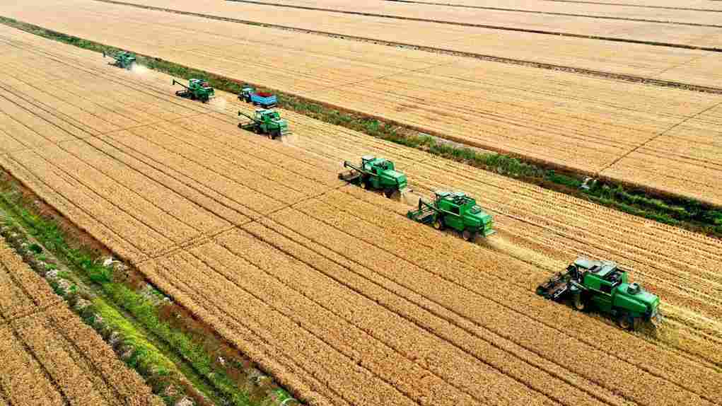 Efficient Rice Mill Machinery for Optimal Production