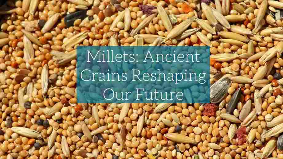 Millets: Ancient Grains Reshaping Our Future