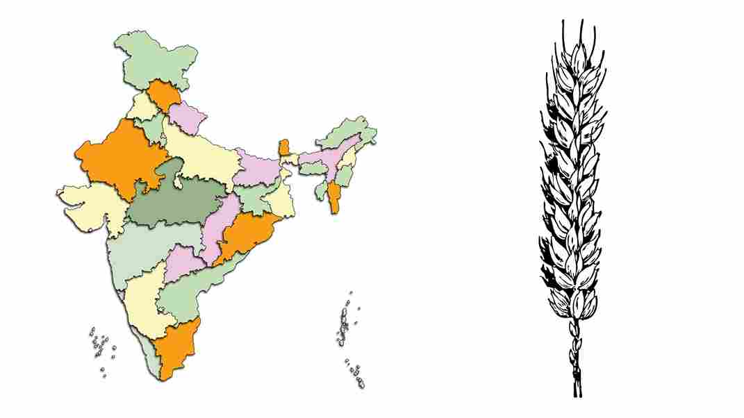 Rice Market Transformation in India- An Overview