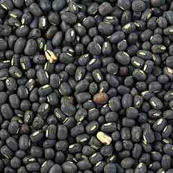Vigna mungo Black Gram