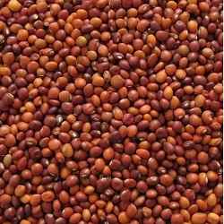 Red Gram