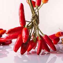 Chilli