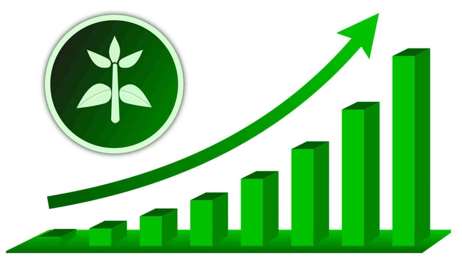 Unveiling the Paddy Outlook: Key Insights for January 2024